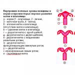 Príčiny neplodnosti u žien (sekundárne a primárne) Hlavné príčiny ženskej neplodnosti, primárne a sekundárne